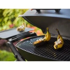 Weber Gasgrill Q 2200 Mit 1 Brenner Und Standgestell Schwarz -Geschäft Für Grillzubehör Für Die Küche Zu Hause 2567618 A03