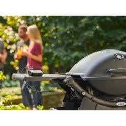 Weber Gasgrill Q 2200 Mit 1 Brenner Und Standgestell Schwarz -Geschäft Für Grillzubehör Für Die Küche Zu Hause 2567618 AB01