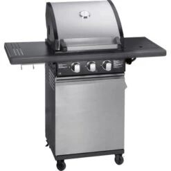 OBI Gasgrill Thunder Bay 2-Brenner Mit Seitenkocher -Geschäft Für Grillzubehör Für Die Küche Zu Hause 557044 3299 9