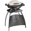 Weber Stand-Gasgrill Q1000 Mit 1 Brenner -Geschäft Für Grillzubehör Für Die Küche Zu Hause 598007 3994 96