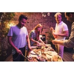 Campingaz Tischgrill Attitude 2100 EX 14 Campingaz Tischgrill Attitude 2100 EX -Geschäft Für Grillzubehör Für Die Küche Zu Hause 9519000 2119 7