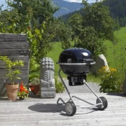 Rösle Holzkohle-Kugelgrill No.1 AIR F50 Mit AIR-Control-System Ø 50 Cm -Geschäft Für Grillzubehör Für Die Küche Zu Hause ixcf068873 o grifflrgkopie